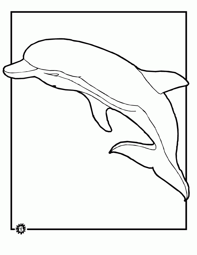 imagini de colorat animal salbatic delfin
